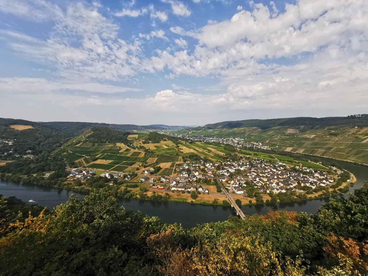 Apartment Moselpanorama Traben-Trarbach