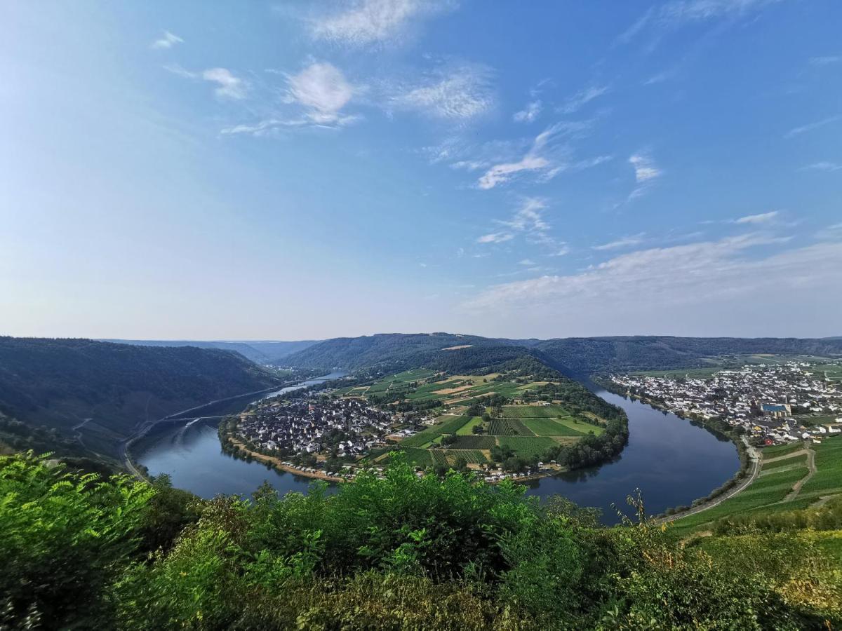 Apartment Moselpanorama Traben-Trarbach