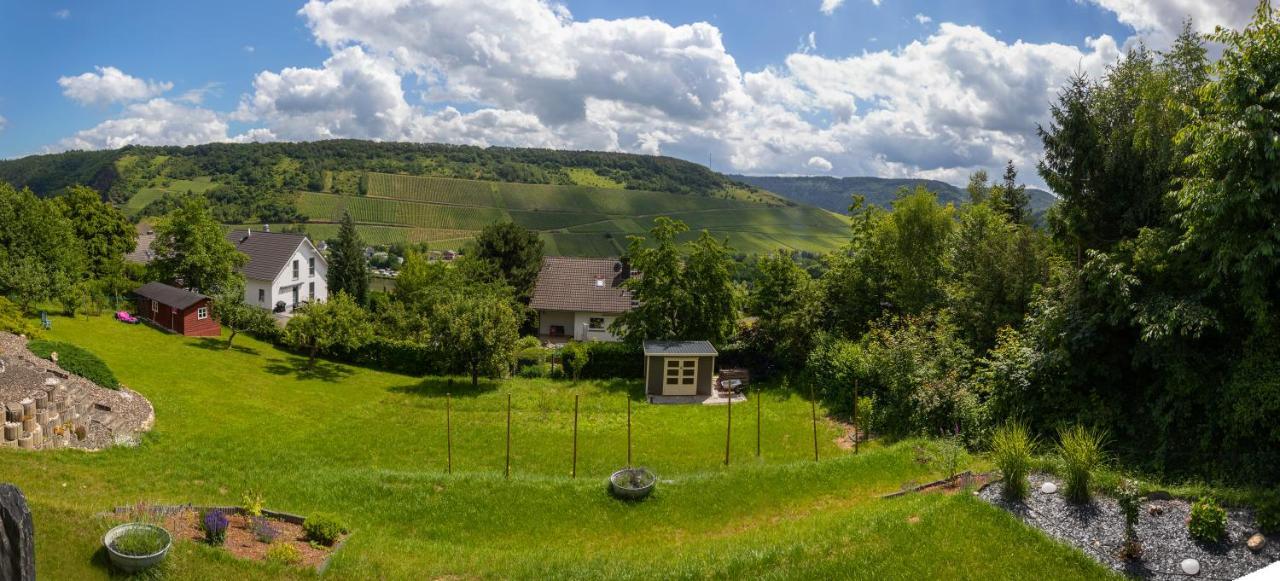 Moselpanorama Apartment Traben-Trarbach