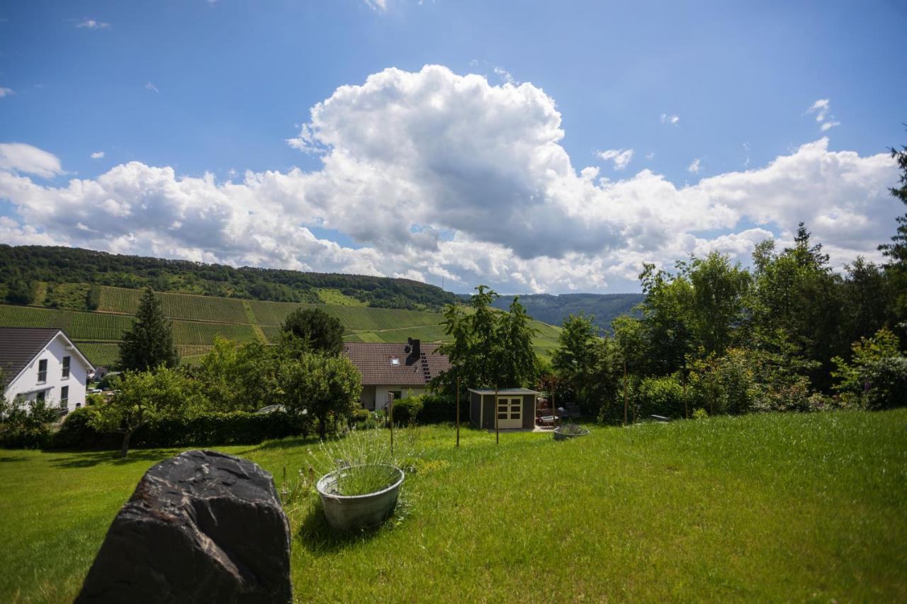 Moselpanorama Traben-Trarbach